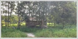 ID: 4373 - 35 Ha of Agriculture land for sale in Ban Phonkham, Pakngum District