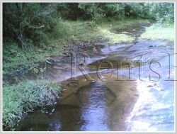 ID: 3688 - Argiculture land for sale in Phonhong District, Vientiane Province