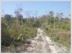 ID: 3688 - Argiculture land for sale in Phonhong District, Vientiane Province