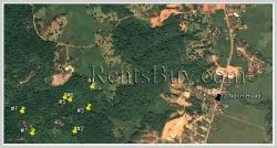 ID: 3688 - Argiculture land for sale in Phonhong District, Vientiane Province