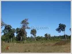 ID: 3019 - The big vacant land near main road for sale in Savannakhet Province