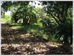 ID: 3913 - The big size land near main road and Patuxay for sale