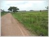 ID: 657 - Nice vacant land for sale at Viengchalern Village