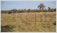 ID: 3017 - Vacant land of rice paddy In Saysettha district for sale