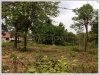 ID: 1094 - Nice Vacant land for sale at Sengsavang Village