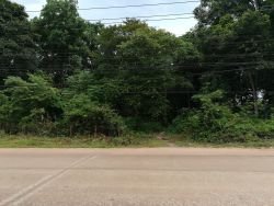 ID: 4176 - The large land next to main road in quiet area in Ban Somsaga for sale