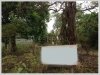 ID: 1158 - Nice plot of land in Sengsavang Village
