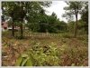 ID: 1094 - Nice Vacant land for sale at Sengsavang Village