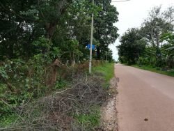 ID: 4175 - The large land in quiet area close to Huakua Market for sale