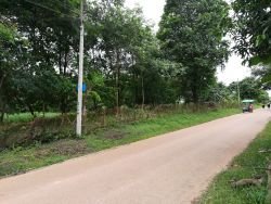 ID: 4175 - The large land in quiet area close to Huakua Market for sale