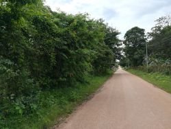 ID: 4175 - The large land in quiet area close to Huakua Market for sale