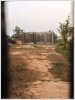 ID: 764 - Vacant land in town near Anji market