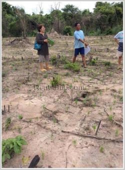 ID: 3516 - Nice vacant land not far from Tiger Beer Factory for sale