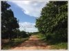 ID: 116 - Nice vacant land at Viengkeo Village