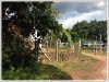 ID: 116 - Nice vacant land at Viengkeo Village