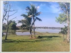 ID: 4273 - Vacant Shady land with pretty house in Ban Oudomphon for sale