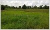 ID: 975 - New Vacant land at Saysavang Village