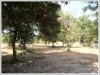 ID: 275 - Nice vacant land for sale at Khamhoung Village