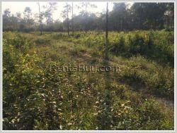 ID: 447 - Developed land in Dan Saang village / (close to Dongmakkai market) in new central of gover