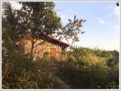 ID: 3775 - Nice vacant land by pave road for sale at Tadthong Village