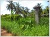 ID: 1579 - Vacant land in town near Vientiane International school