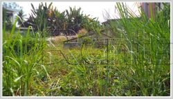 ID: 3065 - Vacant land near Mekong river for sale in Sisattanak district
