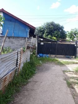 ID: 2750 - Surfaced land for sale in Ban Phasay