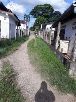 ID: 2750 - Surfaced land for sale in Ban Phasay