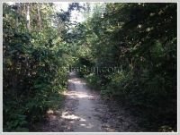 ID: 1648 - Vacant land for sale at Dong Village