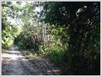 ID: 1648 - Vacant land for sale at Dong Village