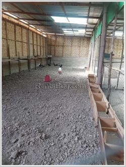 ID: 4237 - Agriculture land for sale in Phonhong District, Vientiane Province