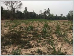 ID: 4237 - Agriculture land for sale in Phonhong District, Vientiane Province