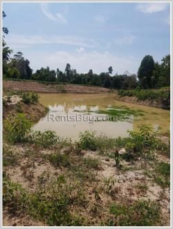 ID: 4237 - Agriculture land for sale in Phonhong District, Vientiane Province