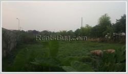 ID: 3979 - Agriculture land for sale near Km 52 Market in Vientiane province