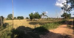 ID: 4604-Large land near Raiway in Ban Xay for sale