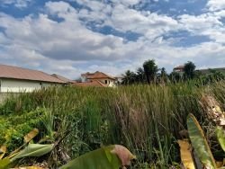 ID: 4590- Nice land near Patuxay and Ministry of finance for sale