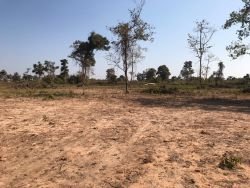 ID: 4599-4 hectares land plot with low price near 450 road in Ban Doung $27/sqm
