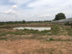 ID: 4480 - Large land for sale in Ban Phonthong