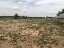 ID: 4480 - Large land for sale in Ban Phonthong