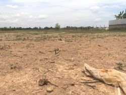 ID: 4480 - Large land for sale in Ban Phonthong