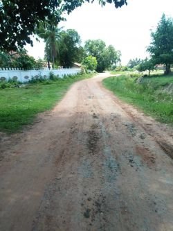 ID: 4477 - Agriculture land near main road for sale in Ban Samket