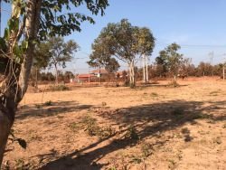 ID: 4599-4 hectares land plot with low price near 450 road in Ban Doung $27/sqm
