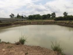 ID: 4480 - Large land for sale in Ban Phonthong