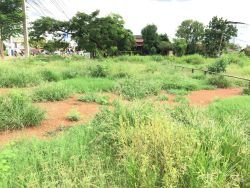 ID: 4525- Large land by main road near Xangpheuk Convention hall for sale