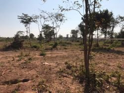 ID: 4599-4 hectares land plot with low price near 450 road in Ban Doung $27/sqm