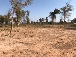 ID: 4599-4 hectares land plot with low price near 450 road in Ban Doung $27/sqm