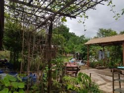 ID: 4488- Large land by main road near National University of Laos for sale