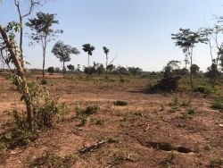 ID: 4599-4 hectares land plot with low price near 450 road in Ban Doung $27/sqm