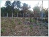 ID: 201 - Vacant land in lao community