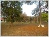 ID: 201 - Vacant land in lao community